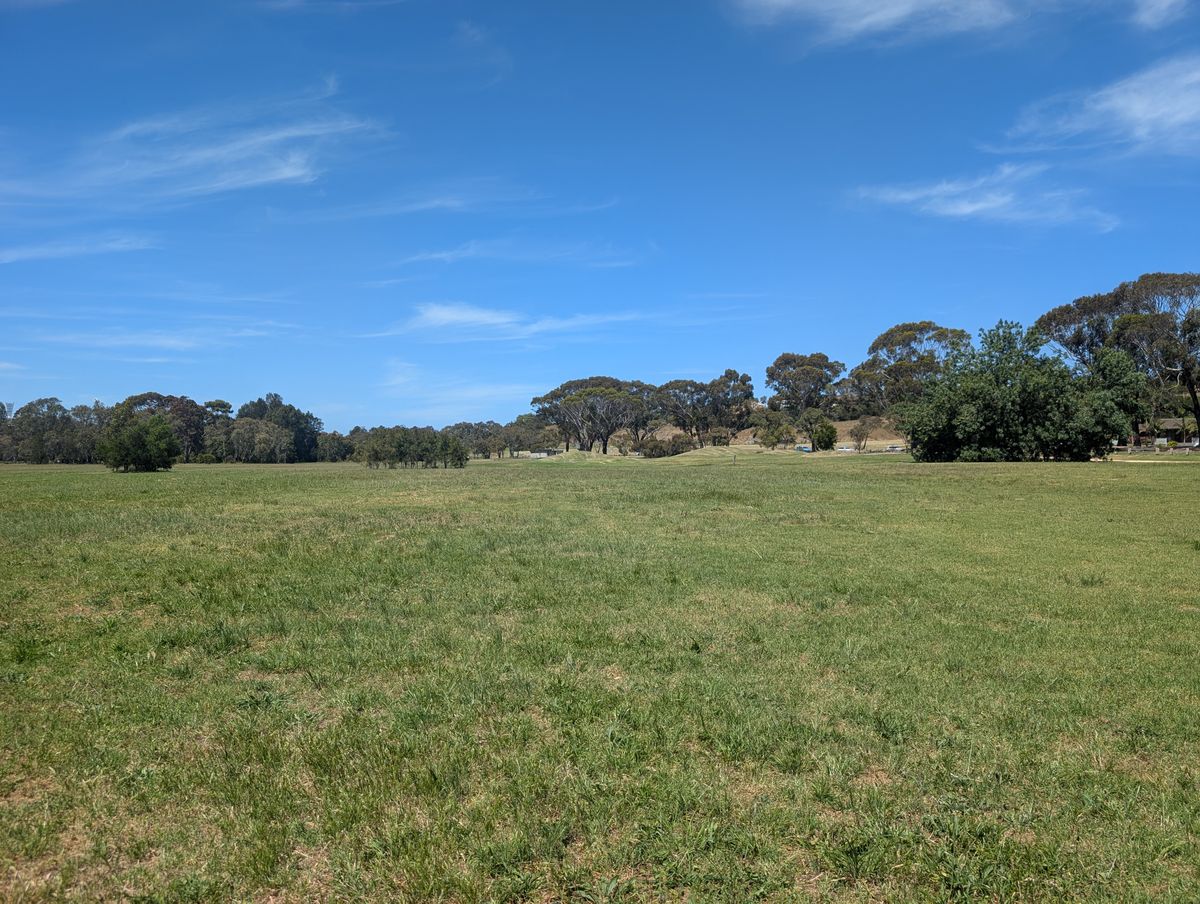 Over the field. (Hope the wind is down!)