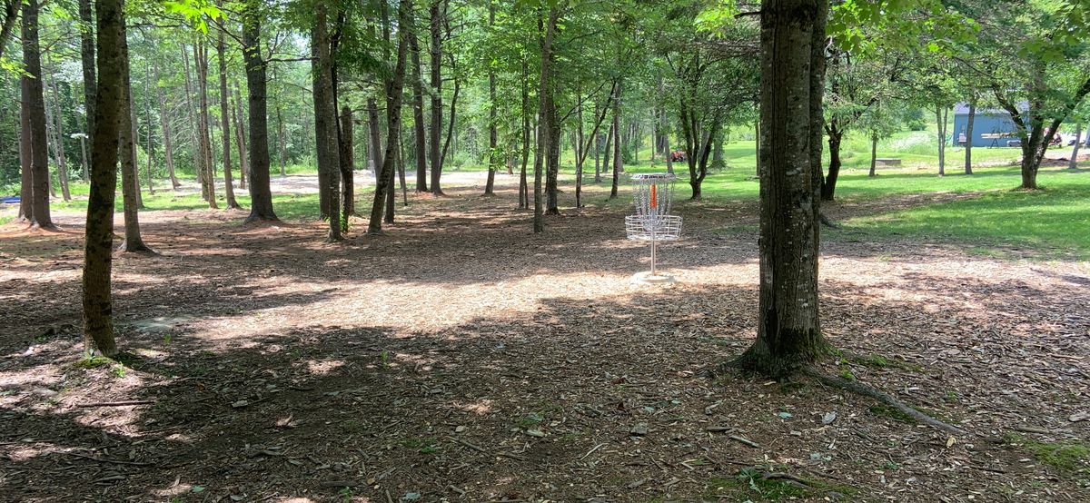 Orono Disc Golf - Bear