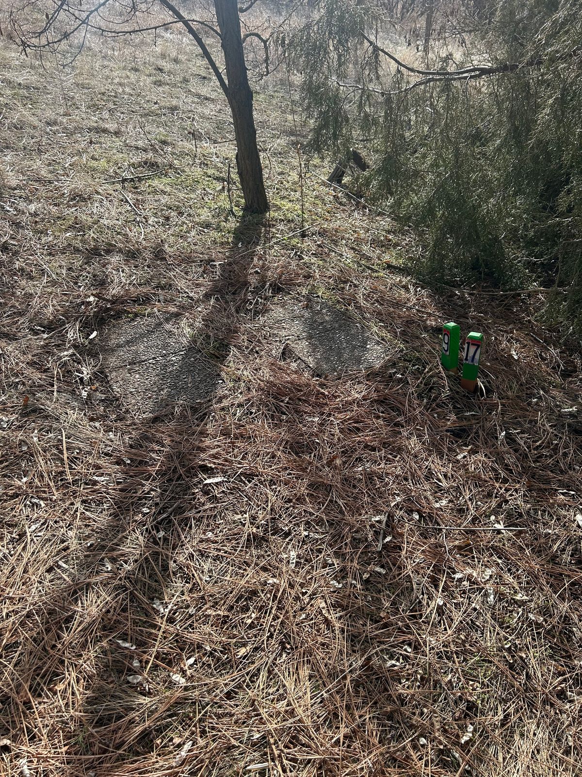 Hole #17 step T-pad.