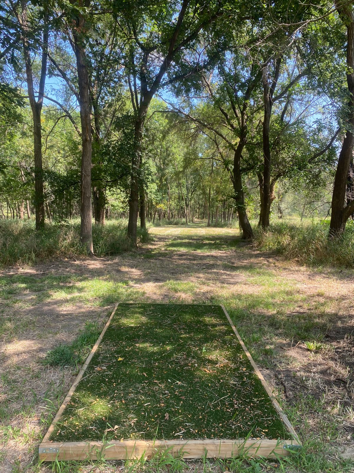 Hole 14 tee