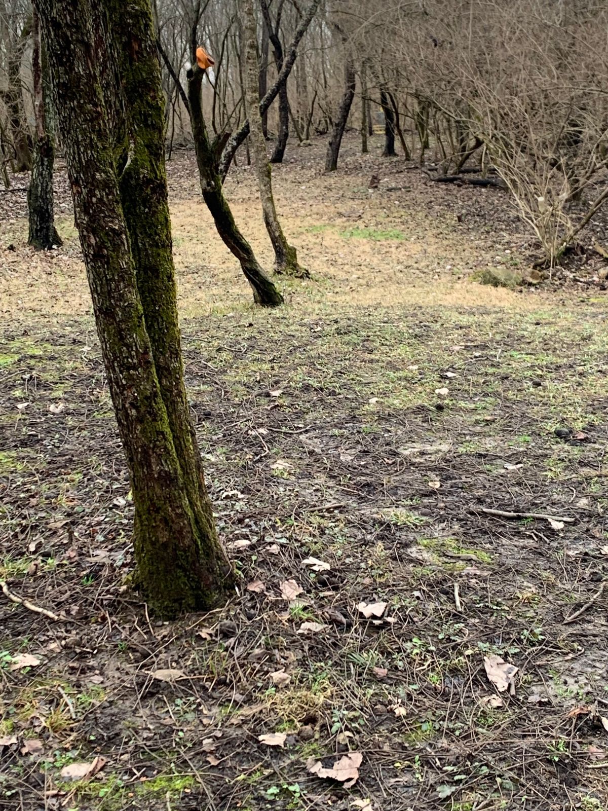 10th pin from that turn.