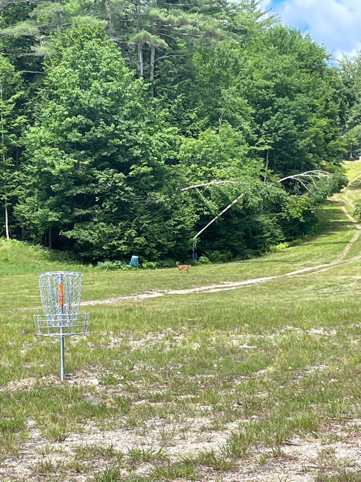 Hole 1