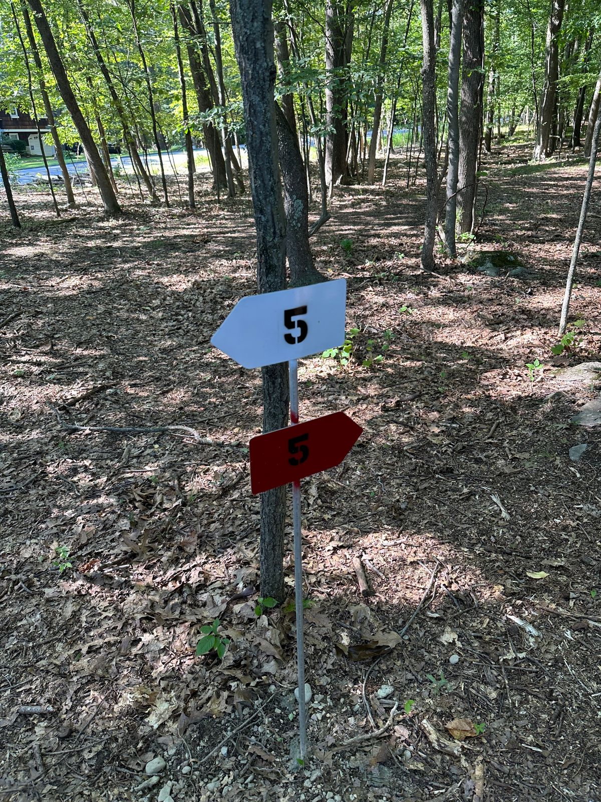 Pathing signage