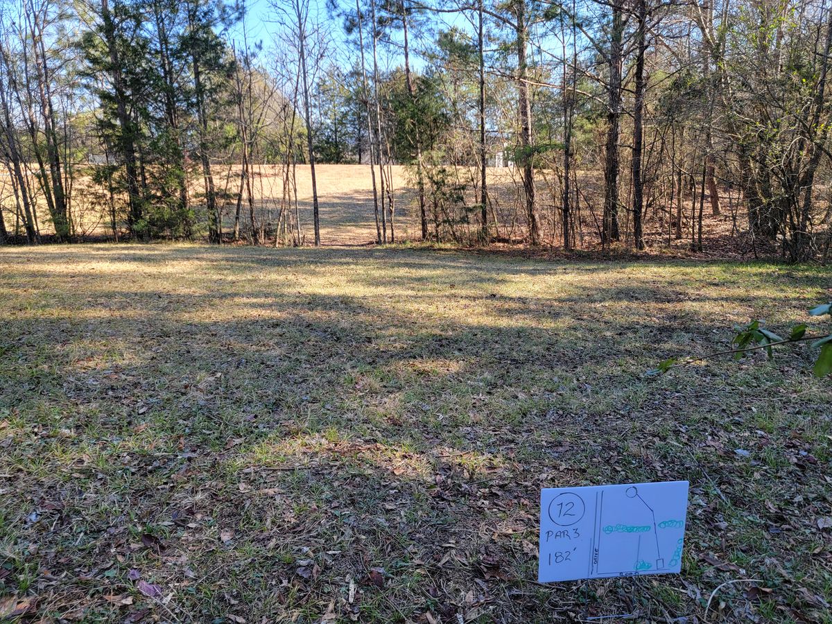 Hole 12 tee pad