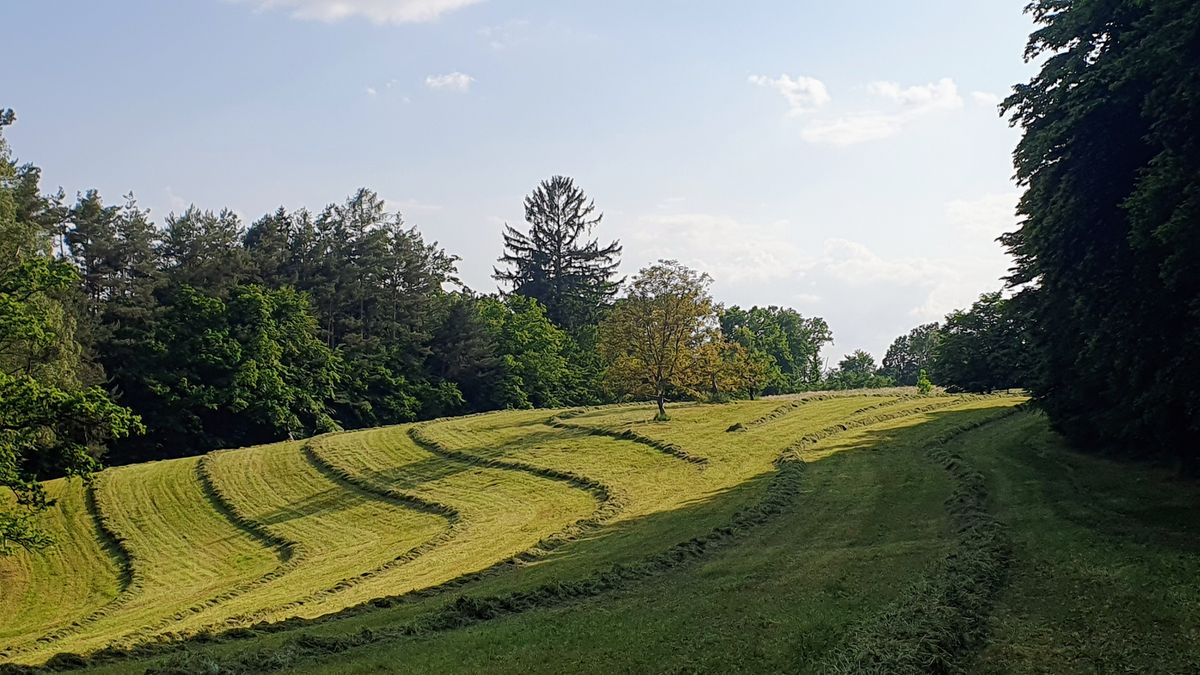 Fairways of holes 14 and 15