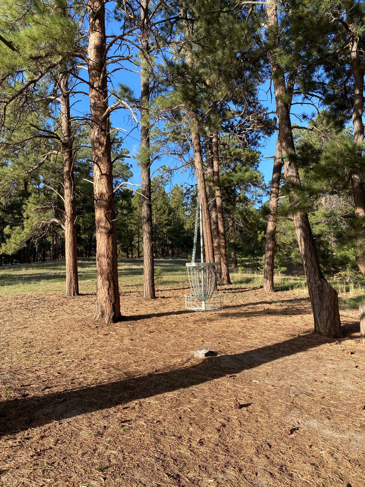 Hanging basket on hole 10