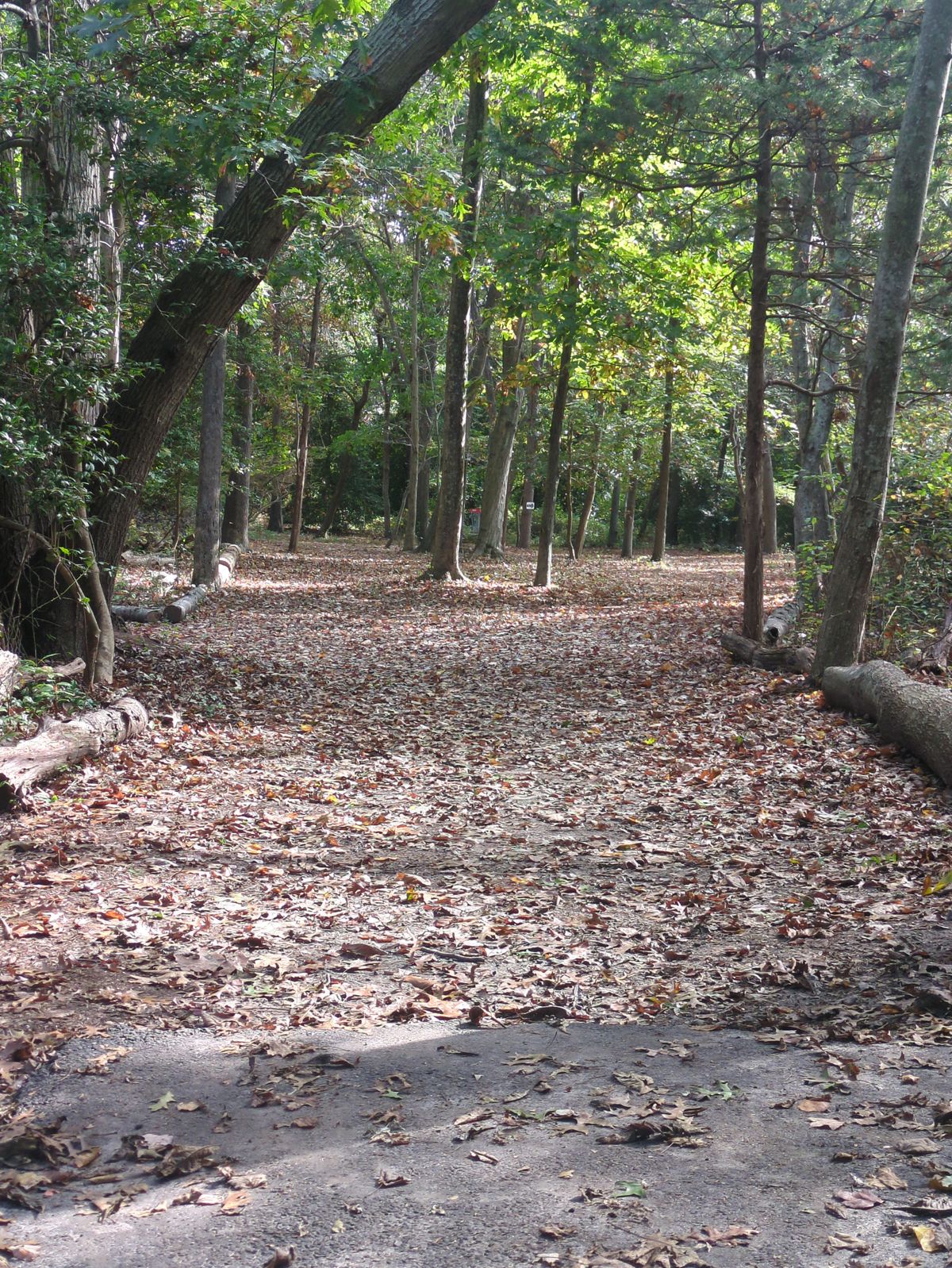 Hole 16