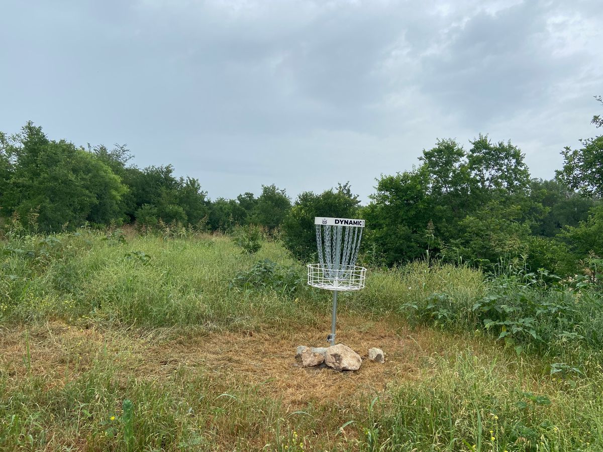 Hole 8 slightly elevated basket