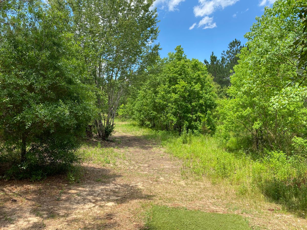 Hole 6