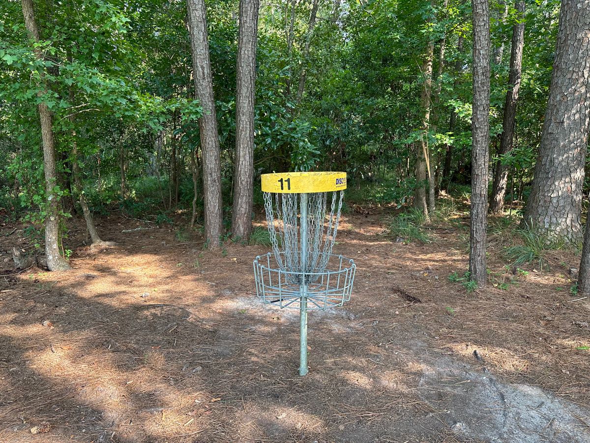 Hole 11 Basket