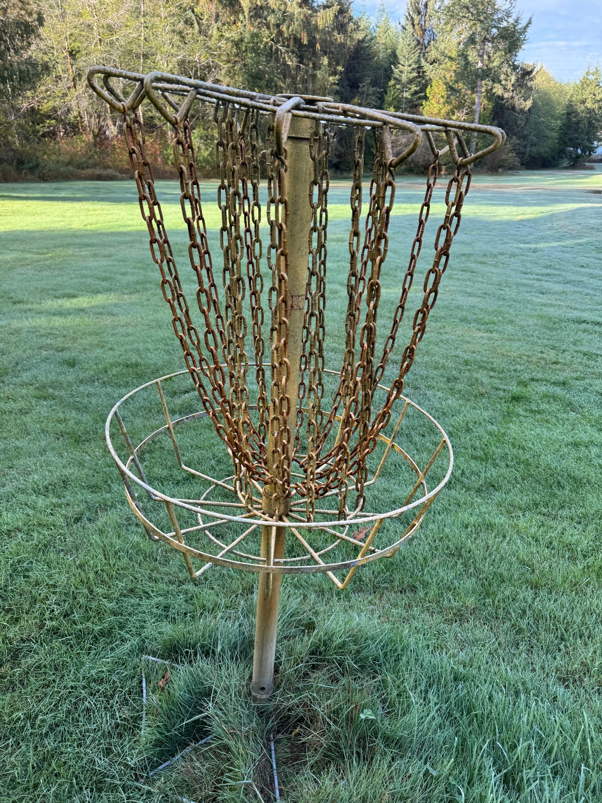 Basket - Hole 4