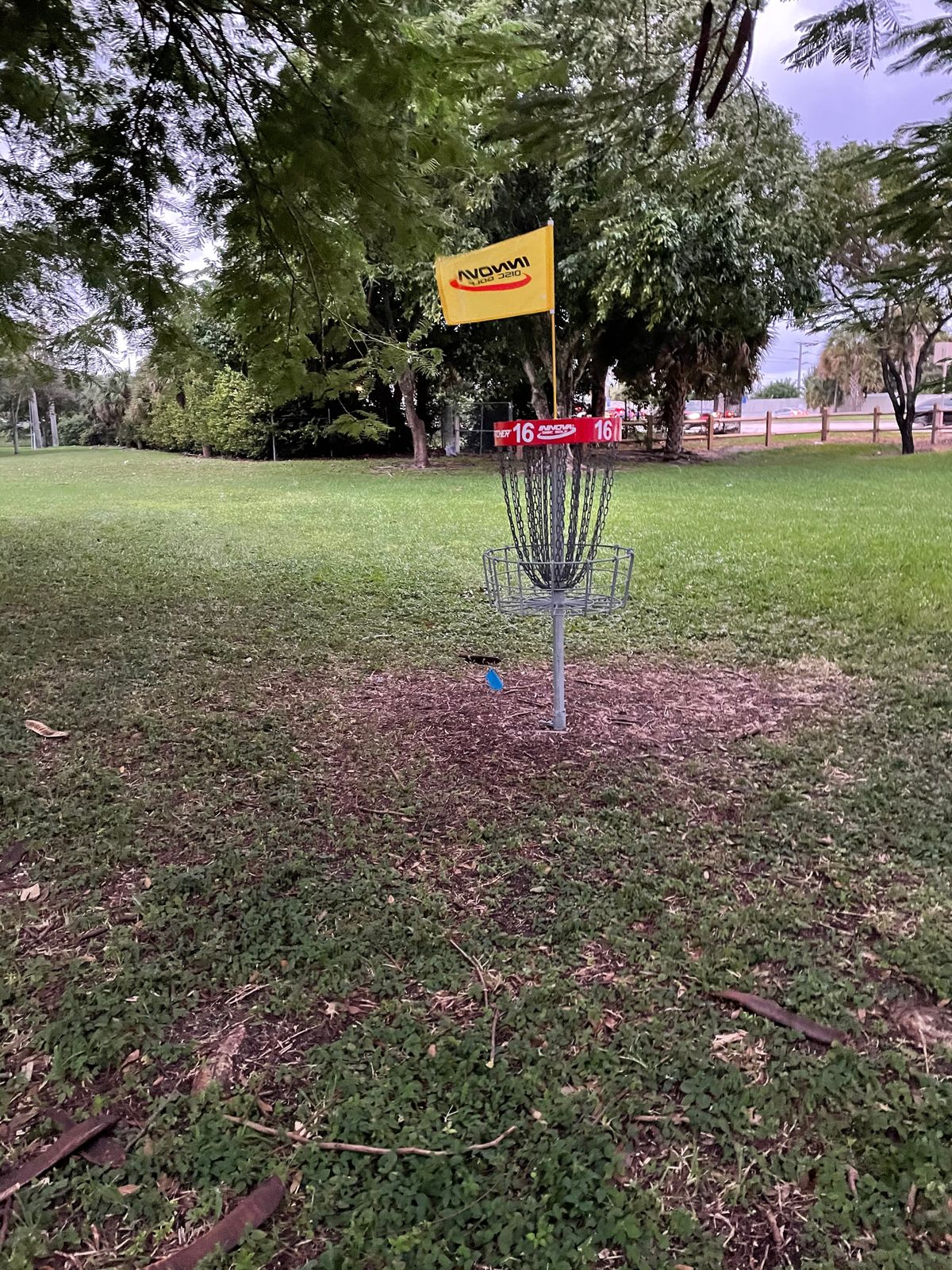 Hole 16 Basket