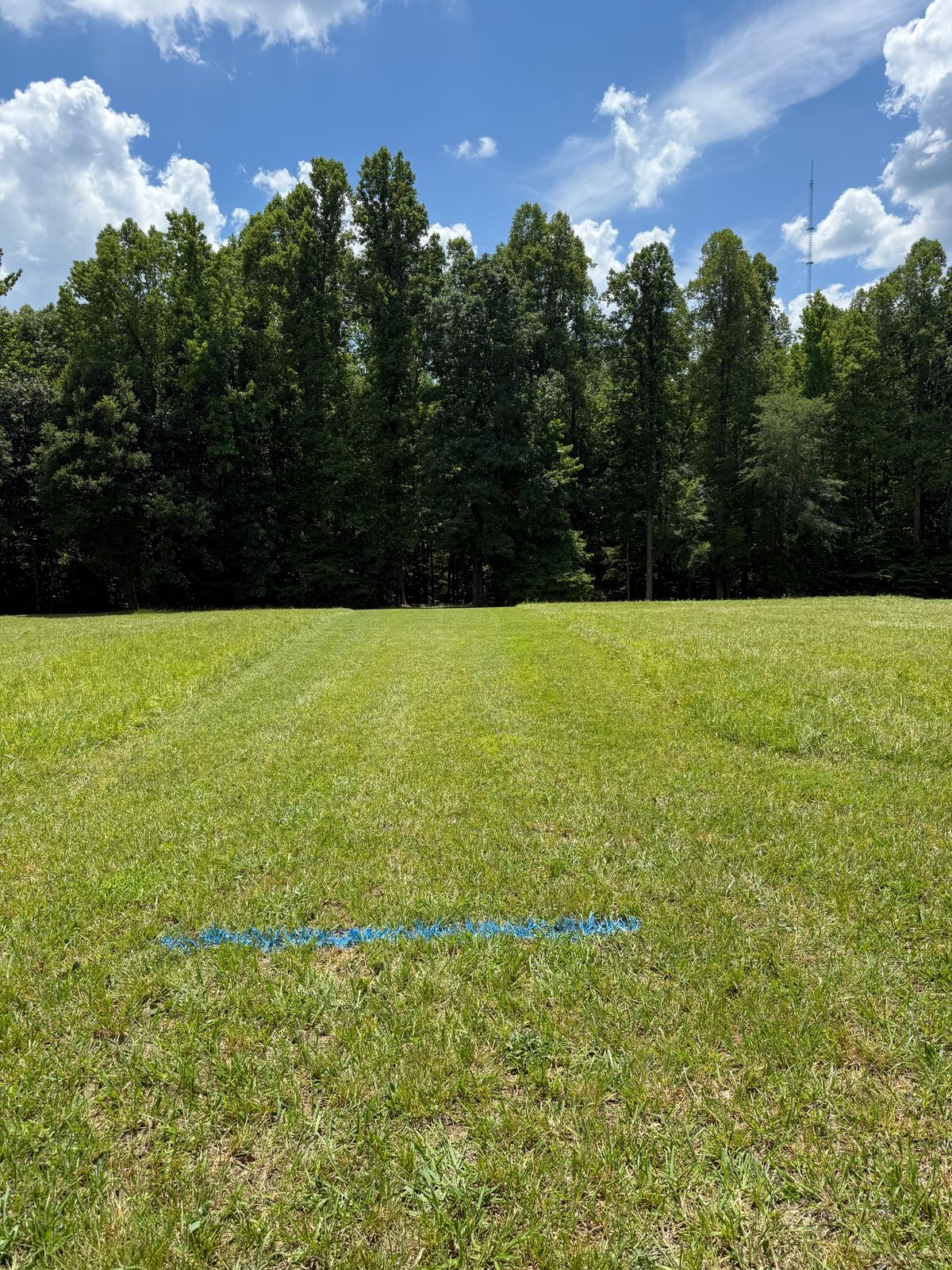Hole 6 Blue Tee. 