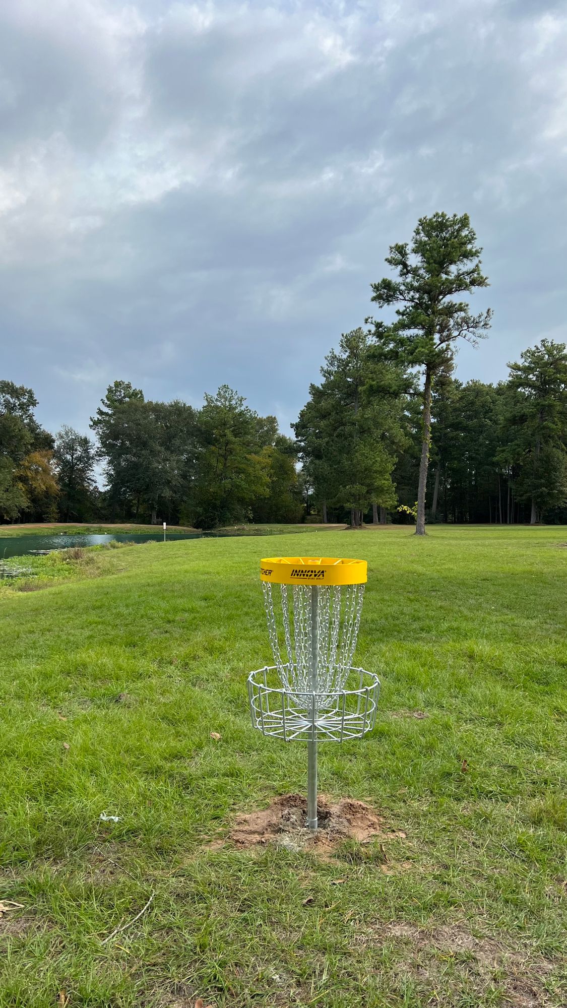 BRAND NEW Hole 6B  looking back at hole 6 tee box (12/1/23)