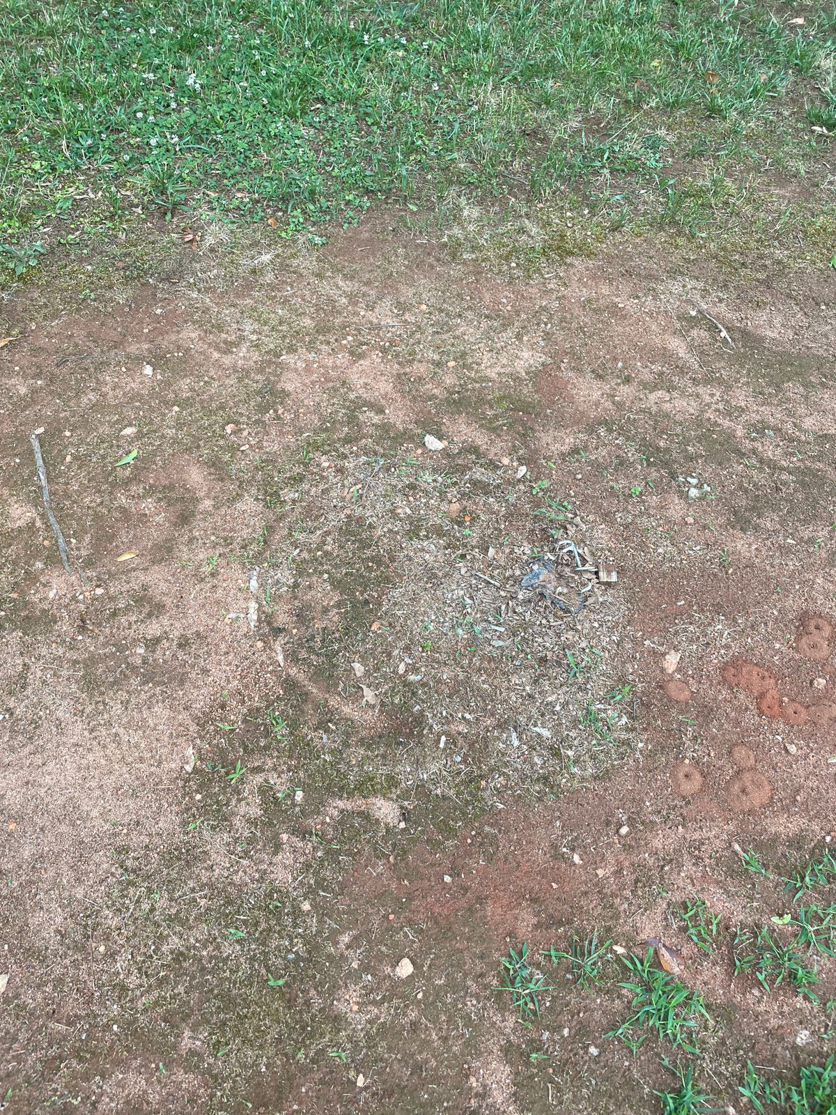 Hole 5