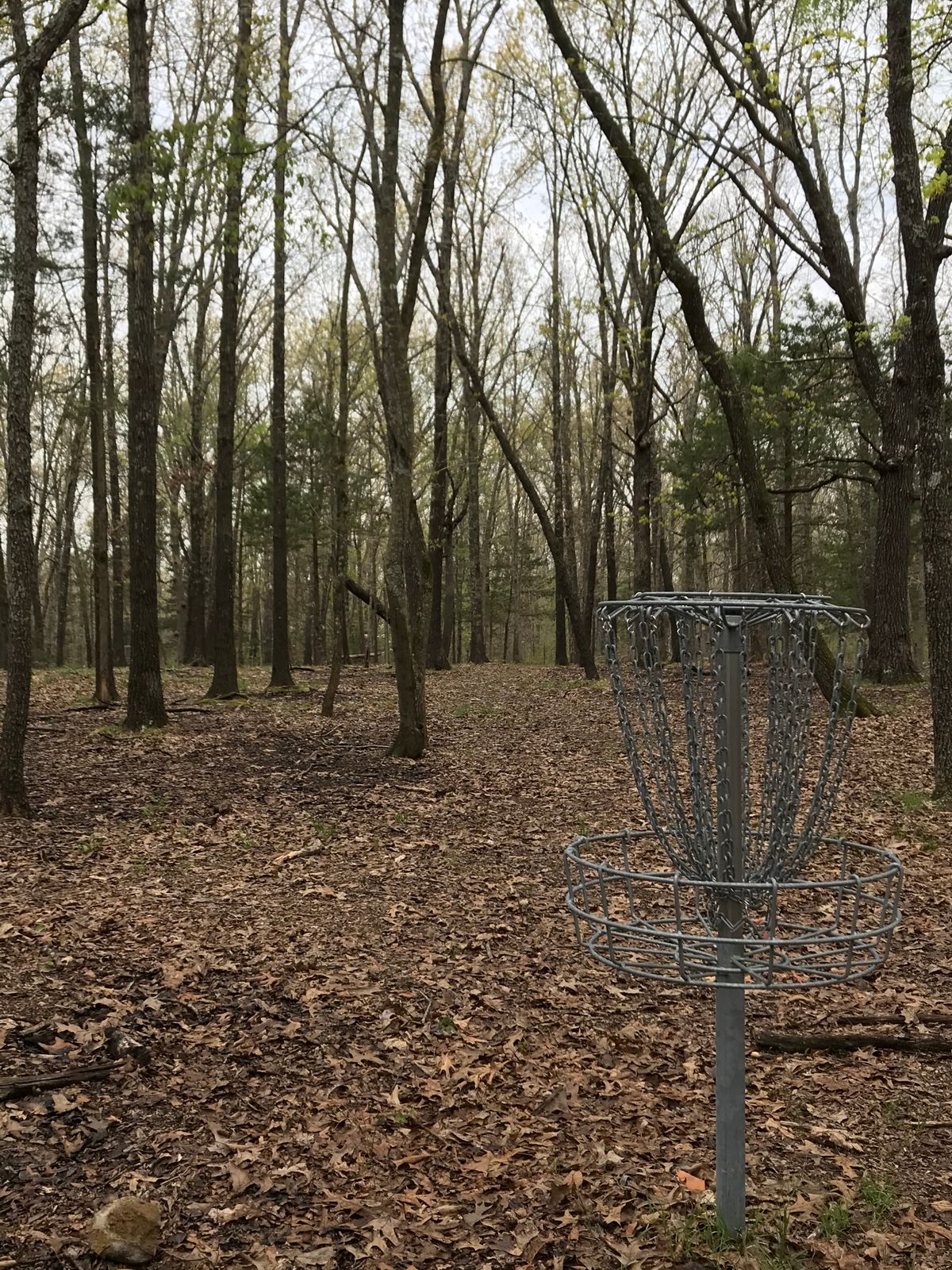 Hole 13 basket