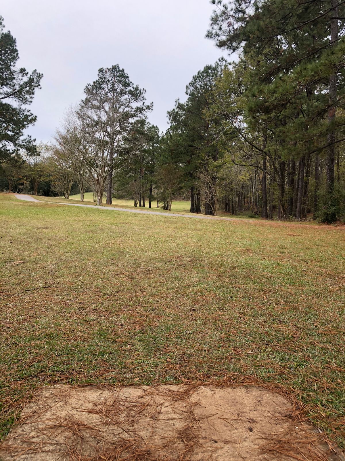 Hole 5