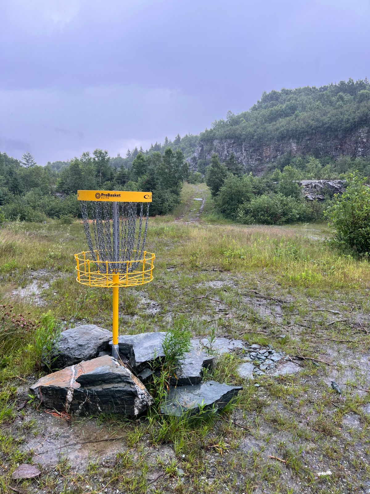 Hole 11A Basket