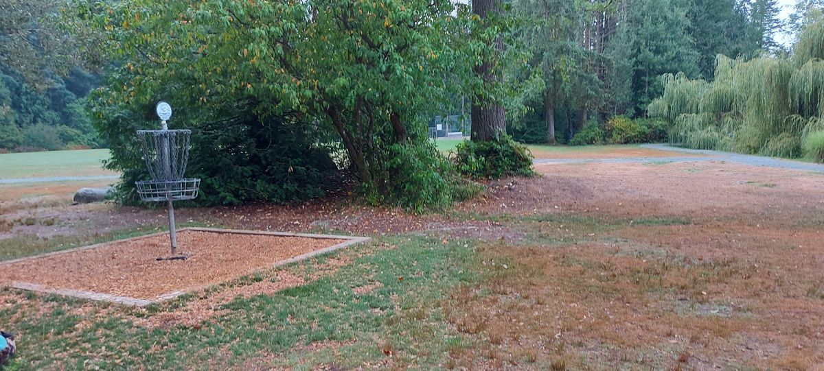 Reverse back up the fairway on hole 3.🍁🌿🍂🍃