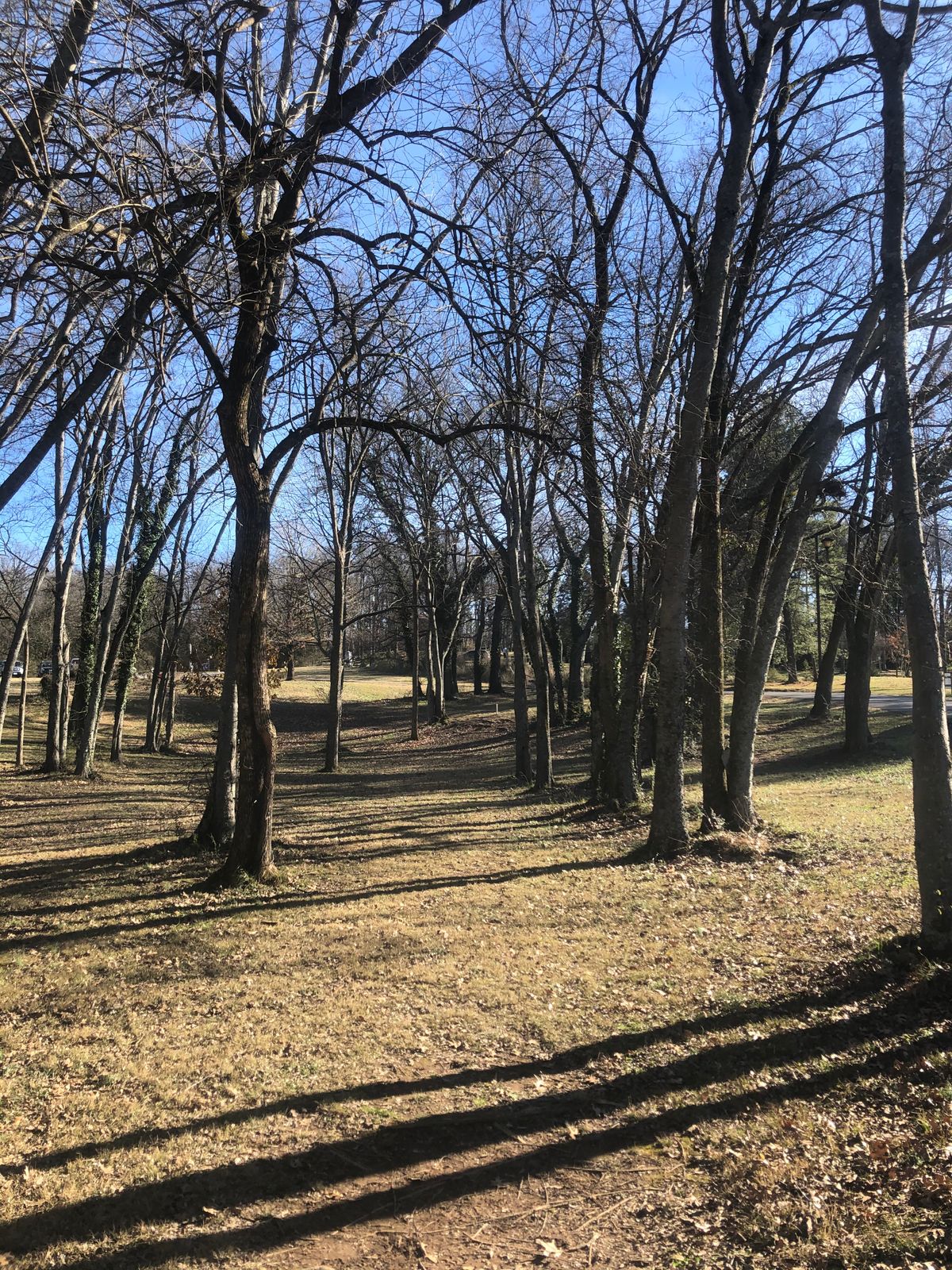 Hole 13