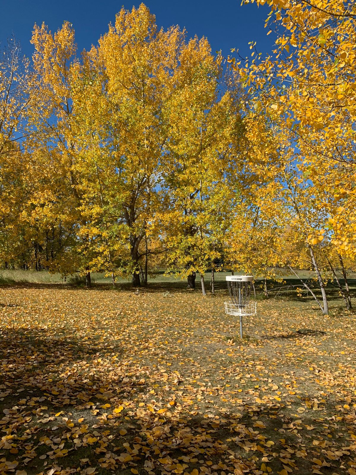 Beautiful fall day in the back 9