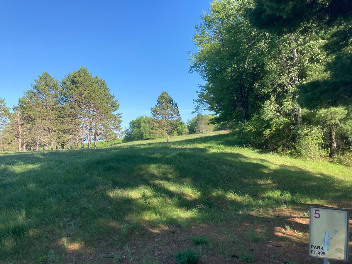 Hole 5 Tee