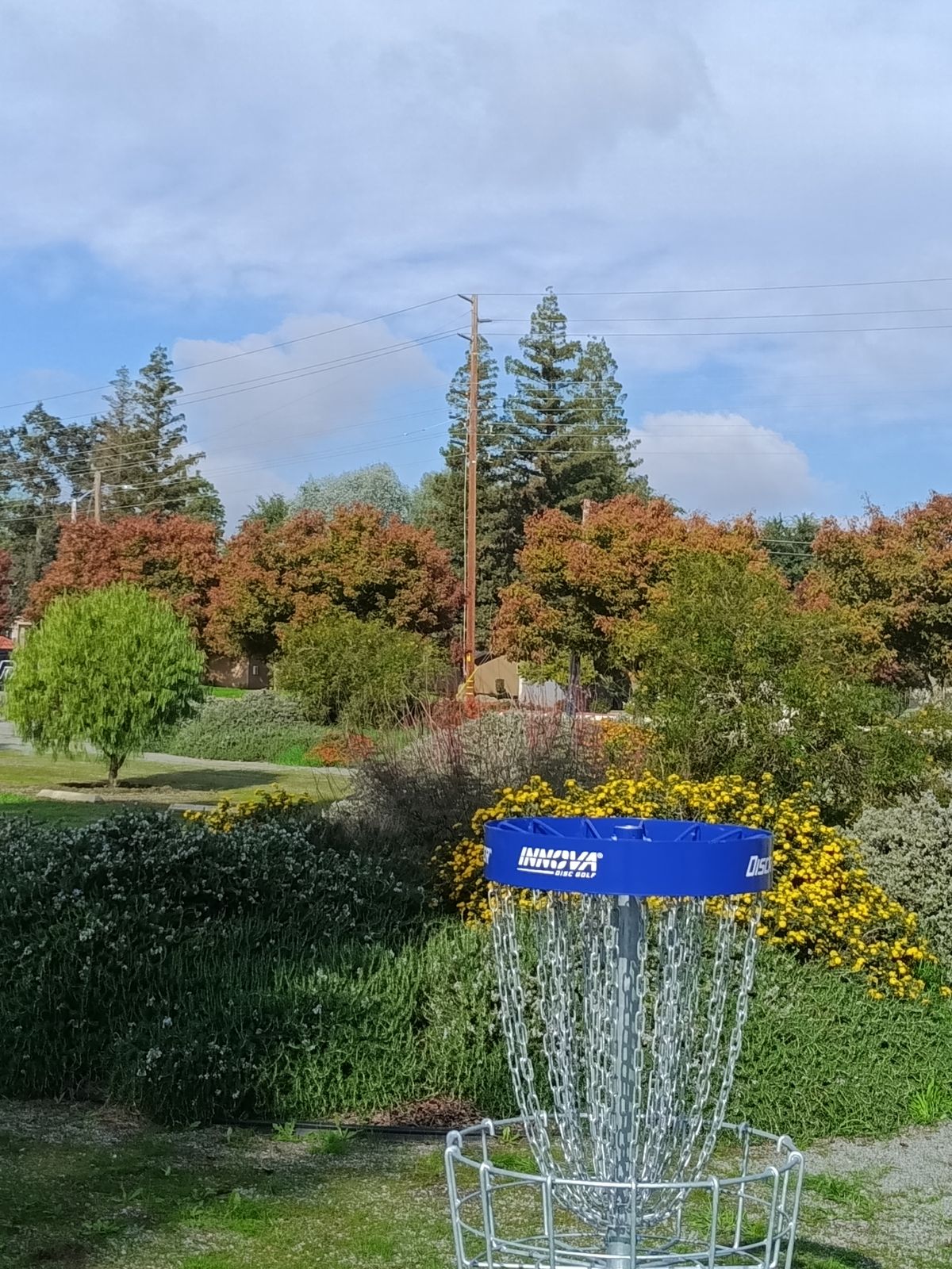 Hole 3 looking back to Tee Pad.