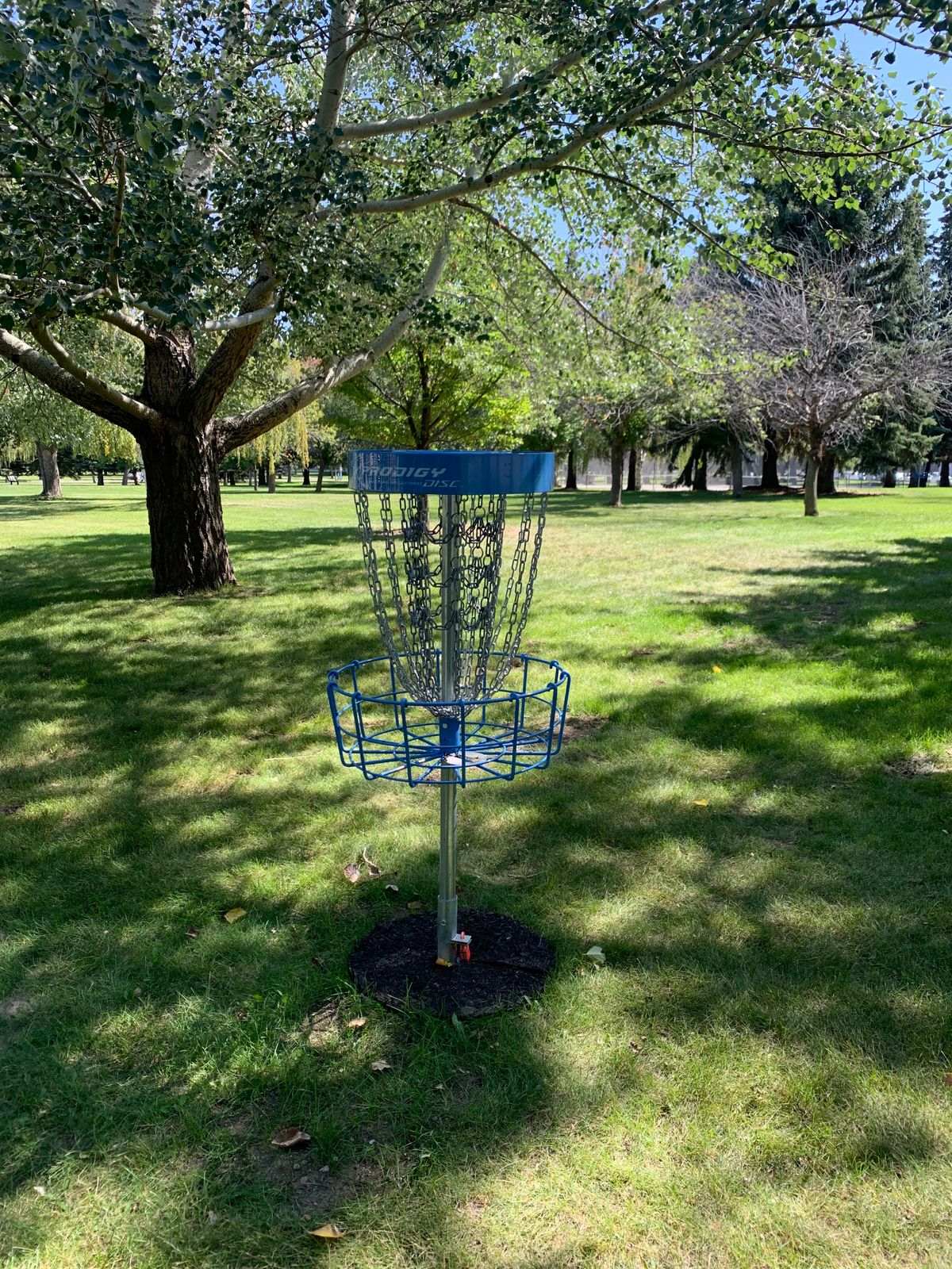 Hole 3 basket