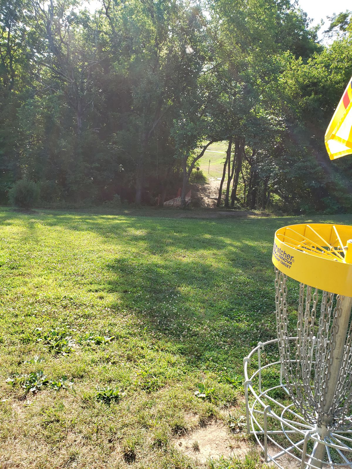 #5 Basket looking back toward #5 Tees.
