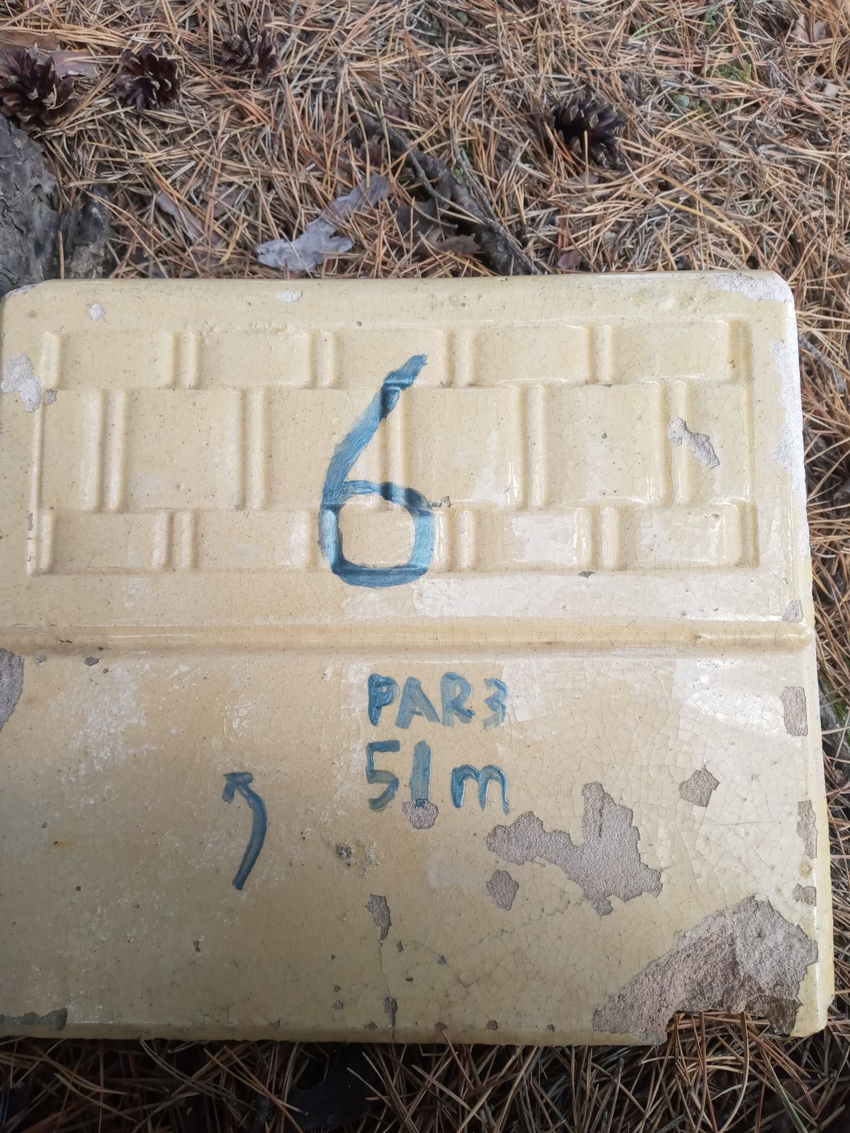 Hole 6 Tee Sign