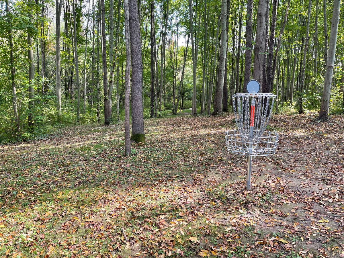 Hole 7 Basket