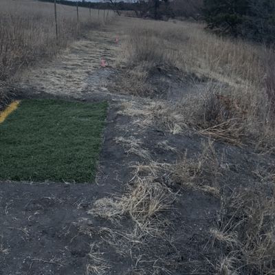 hole 8 tee