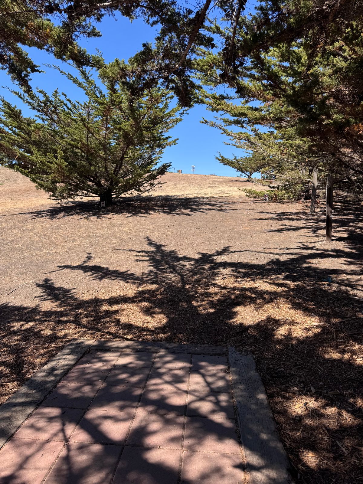 Hole 4 (8/4/25)