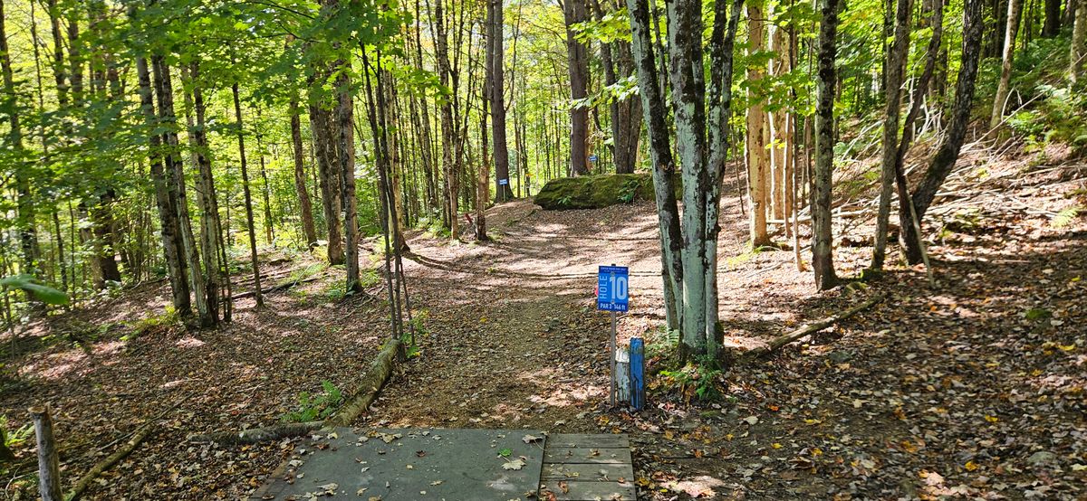 Hole 10