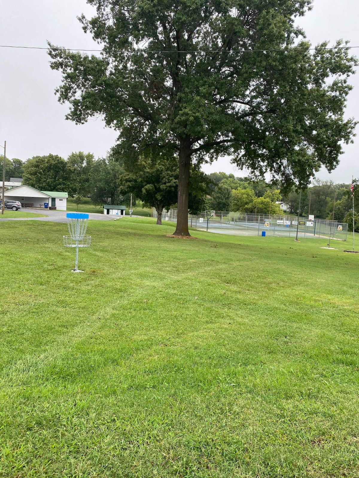 Basket for hole #6