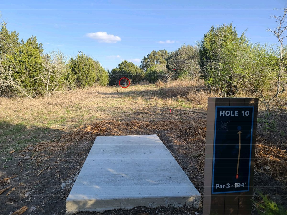 Visible from tee, brush immediately behind basket. 
