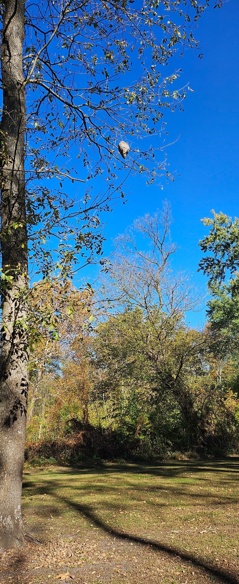 Hole 8. Looked abandoned