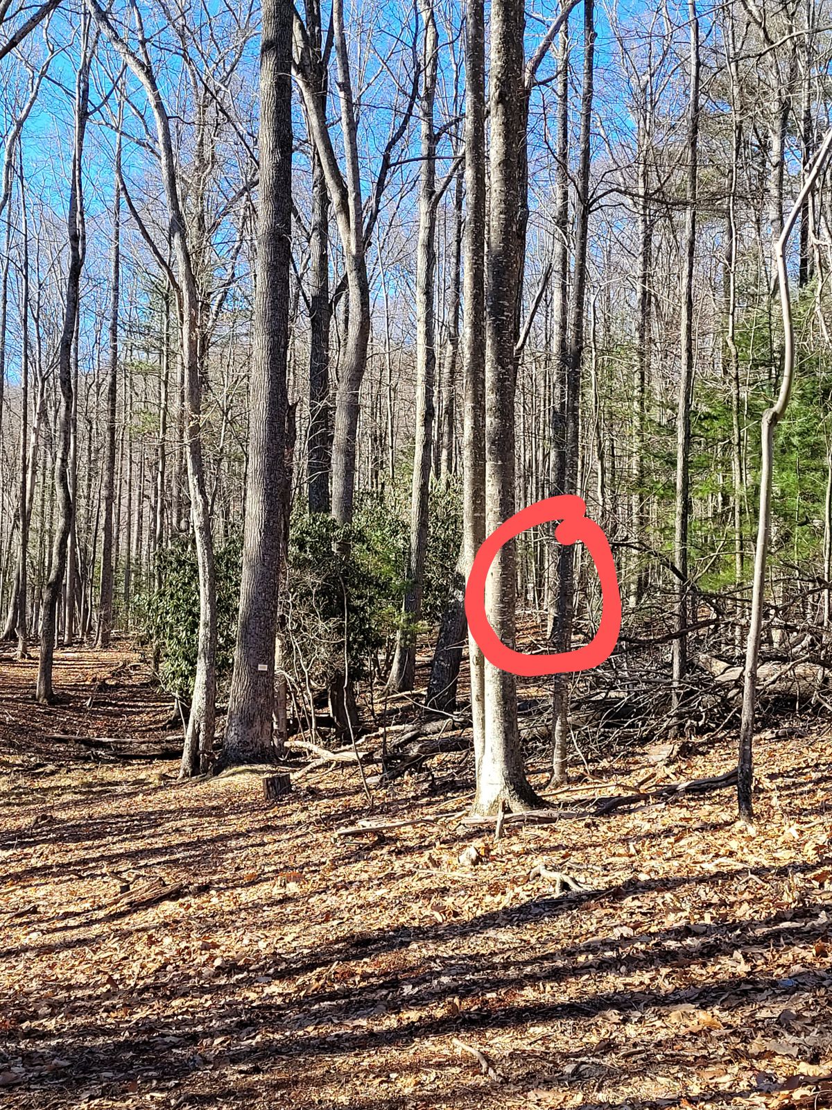 Hole #9 from pad