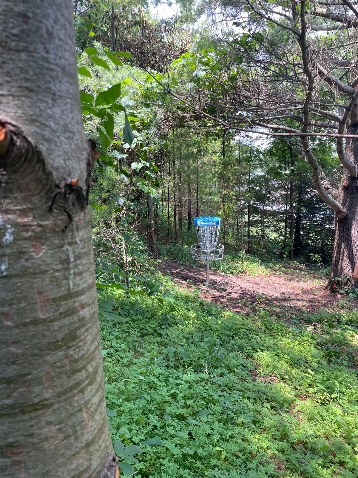 Hole 5!