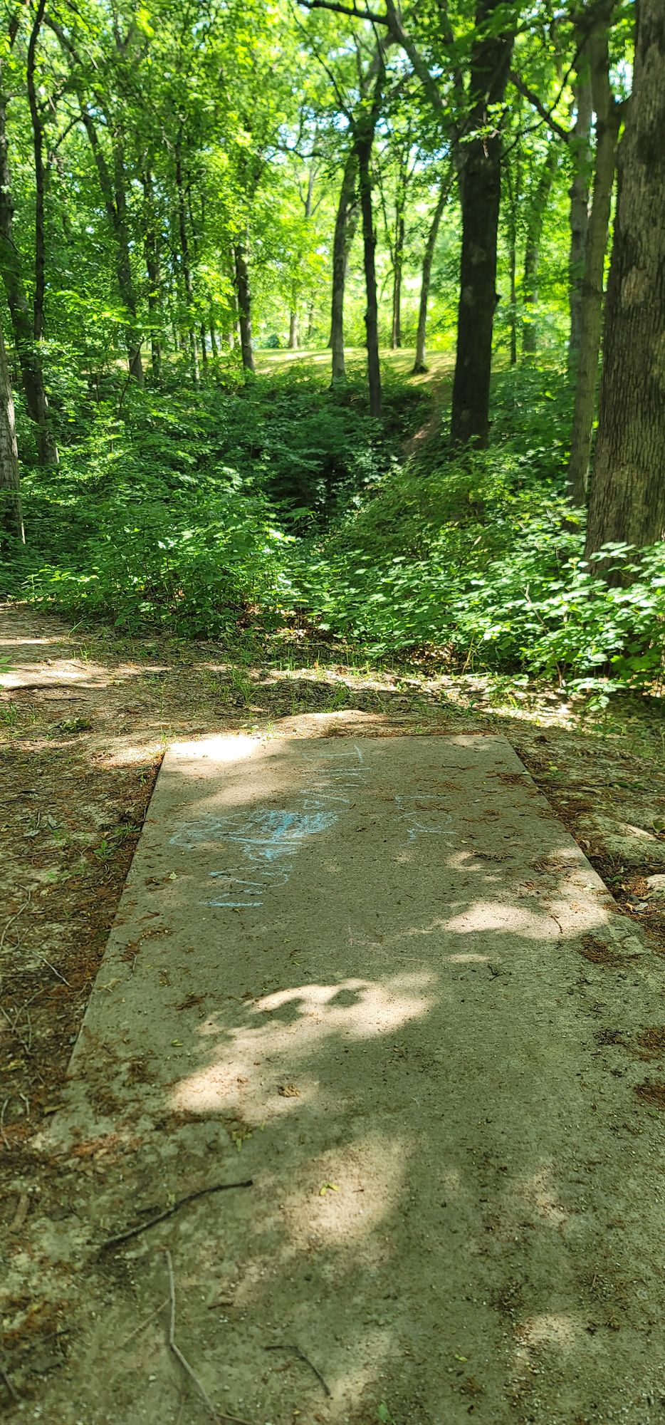 Hole 9 teepad before trimming. 