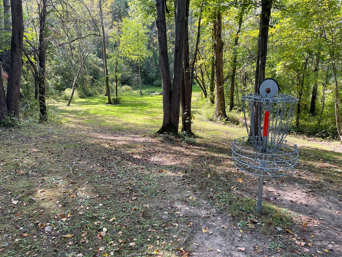 Hole 4 Basket