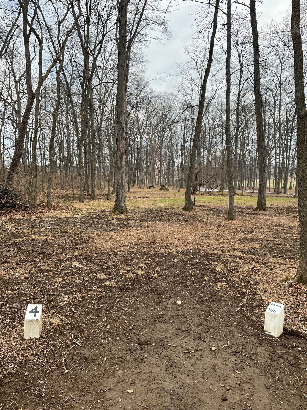 Hole 4