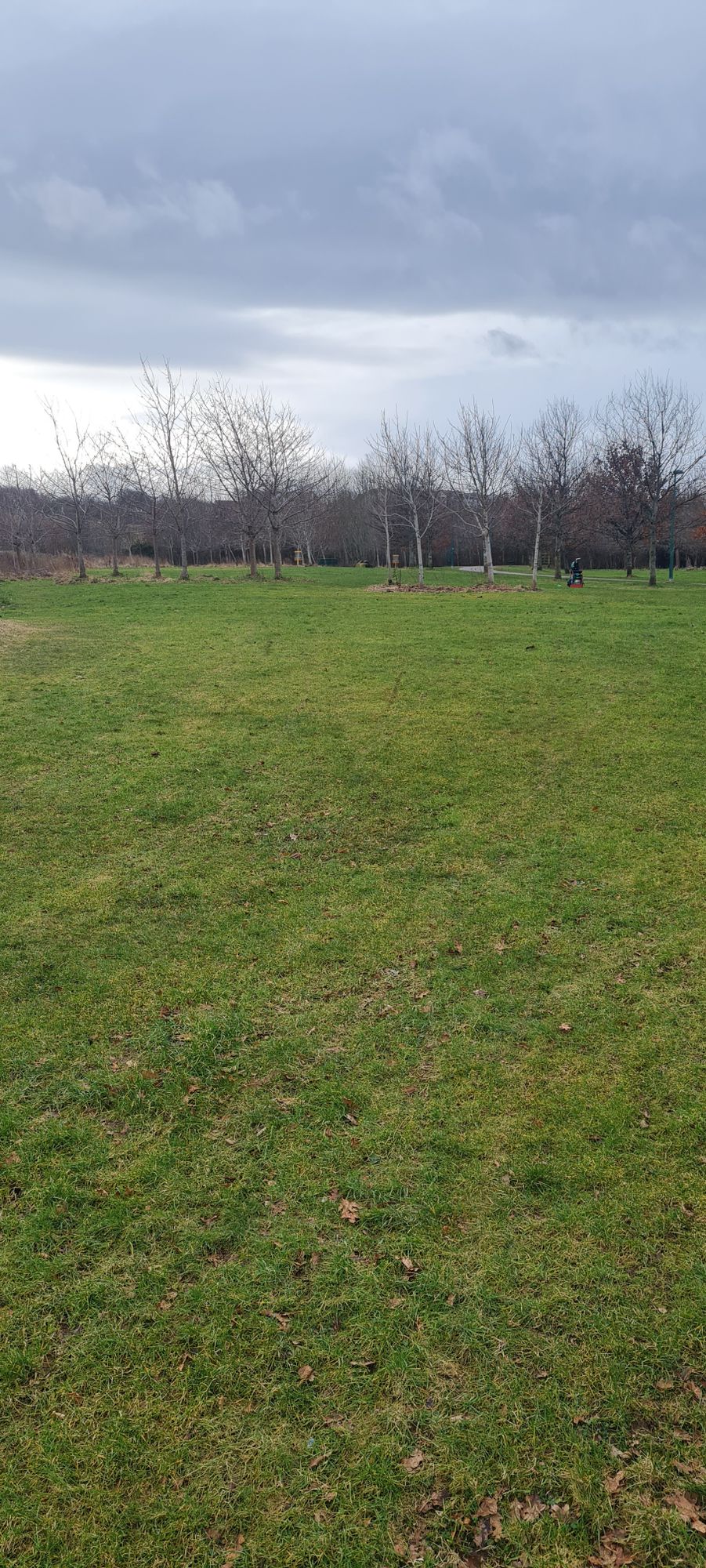Hole 5