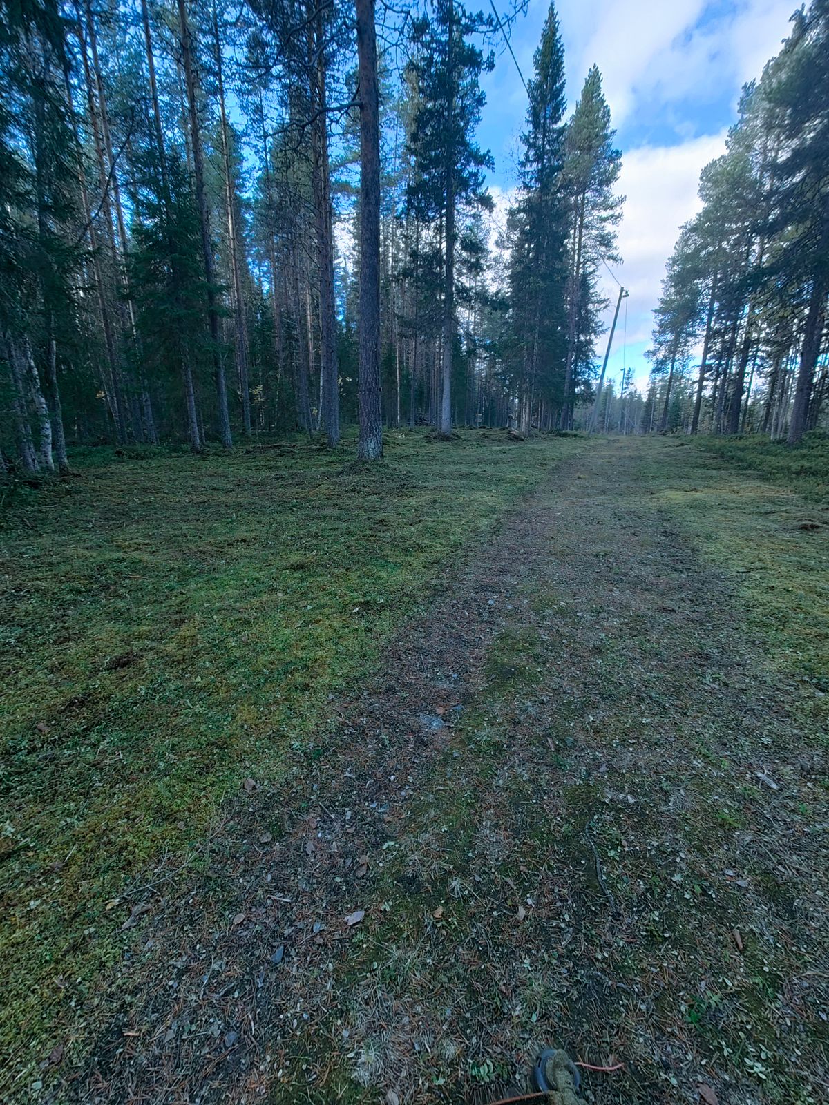 Fairway hål 3