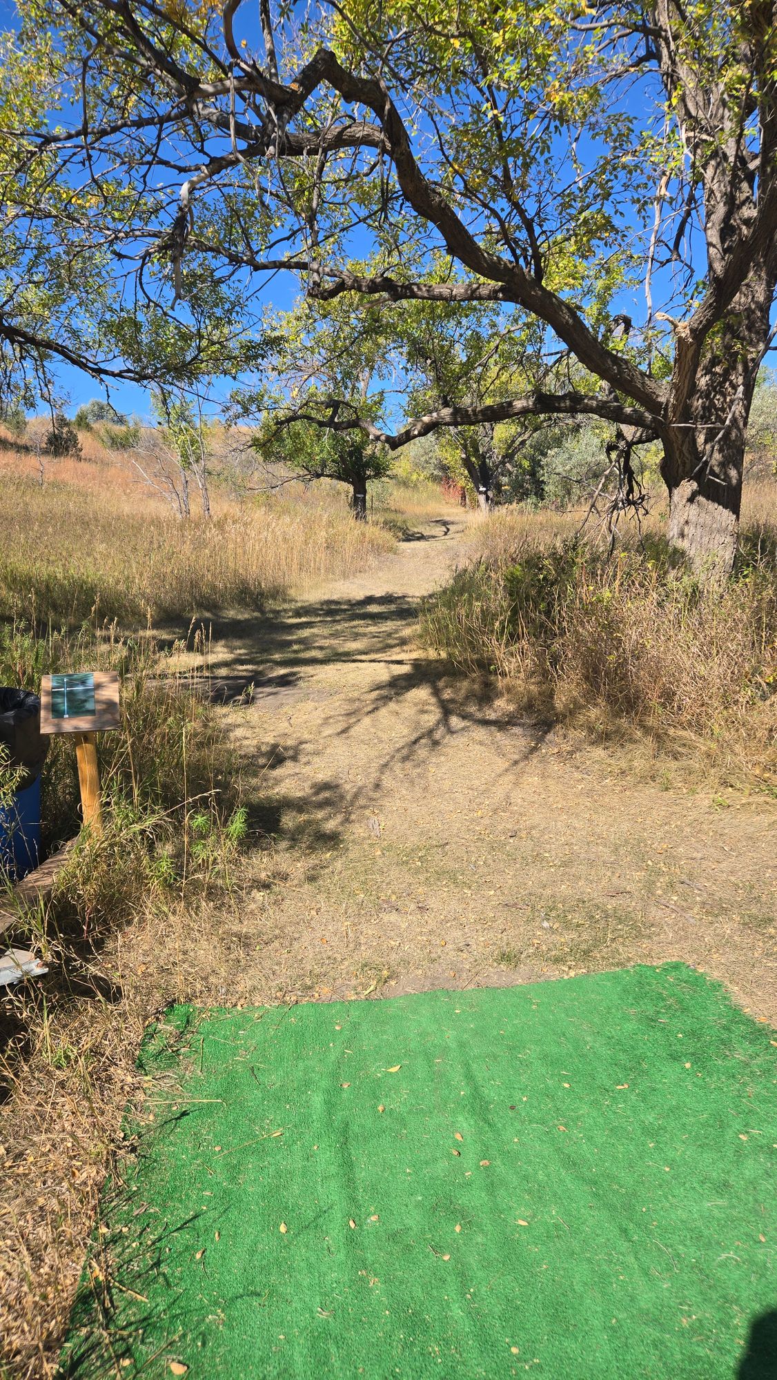 Hole 4
