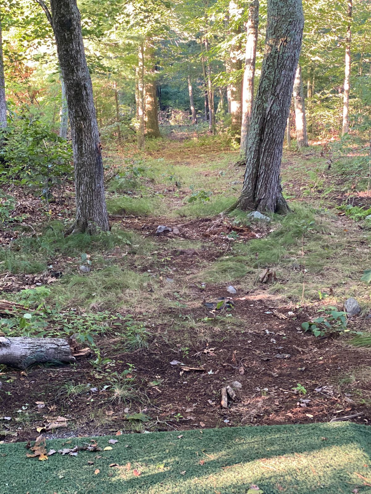 Hole 7 gap shot!