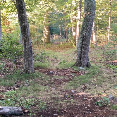 Hole 7 gap shot!