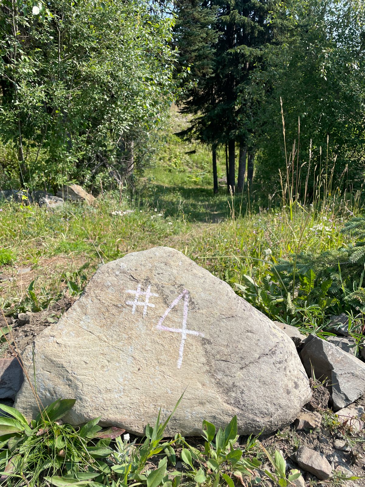 4th tee