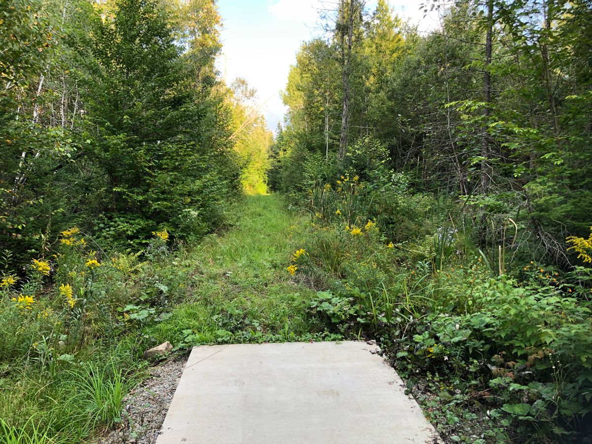 14 Tee Pad