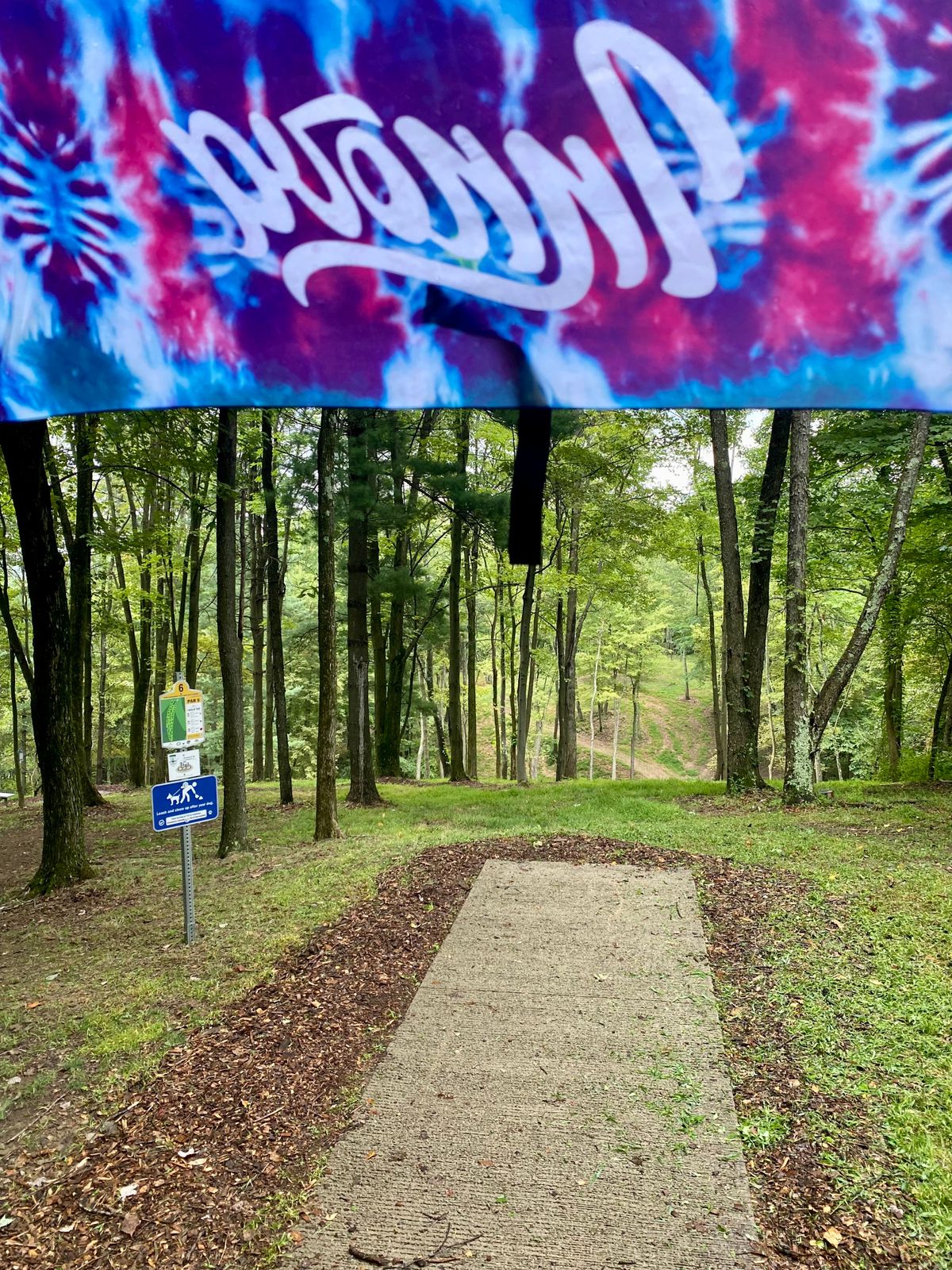 Hole 6 gold tee.